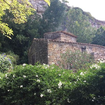 Maison Ancienne Minervois La Caunette Luaran gambar
