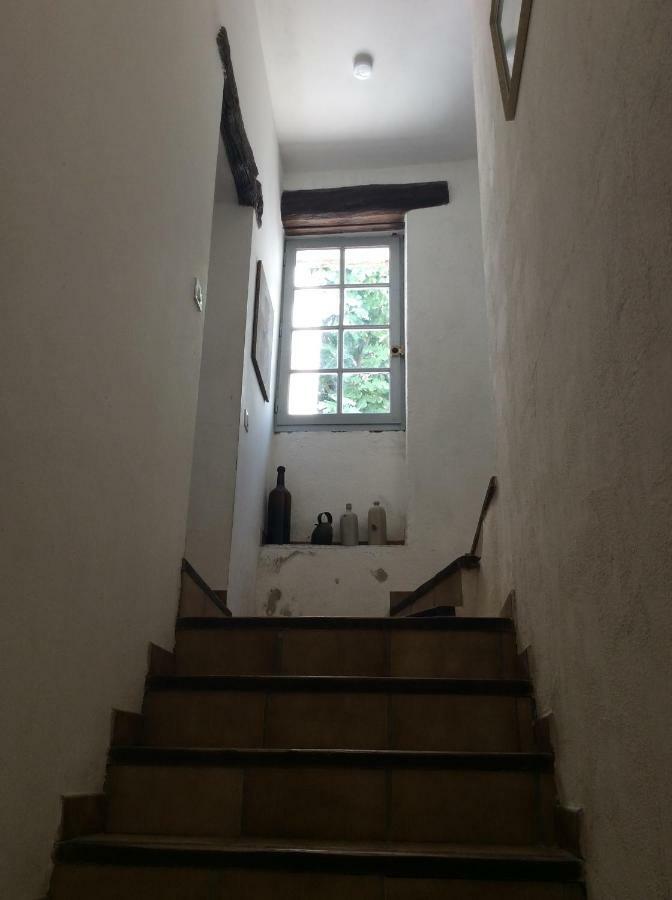 Maison Ancienne Minervois La Caunette Luaran gambar
