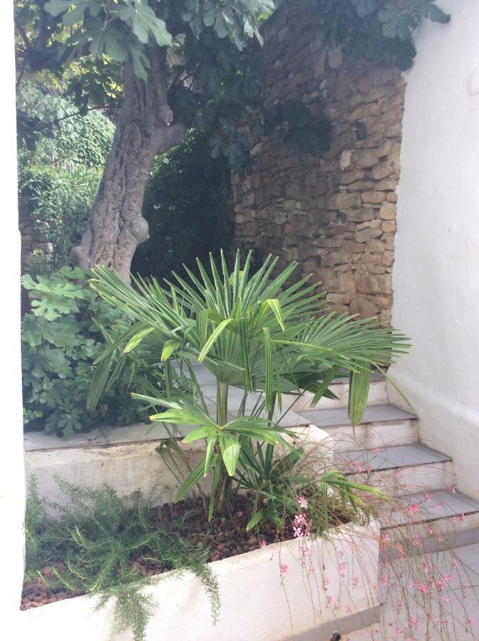 Maison Ancienne Minervois La Caunette Luaran gambar