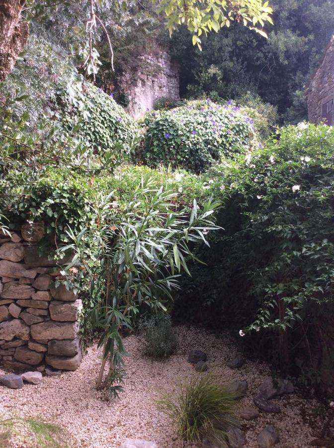 Maison Ancienne Minervois La Caunette Luaran gambar