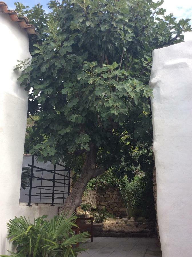 Maison Ancienne Minervois La Caunette Luaran gambar